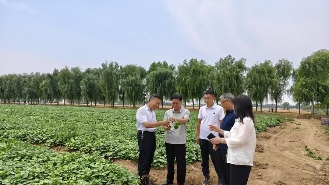 田磊 | 退伍不褪色 扎根农村科技兴农 助力乡村振兴