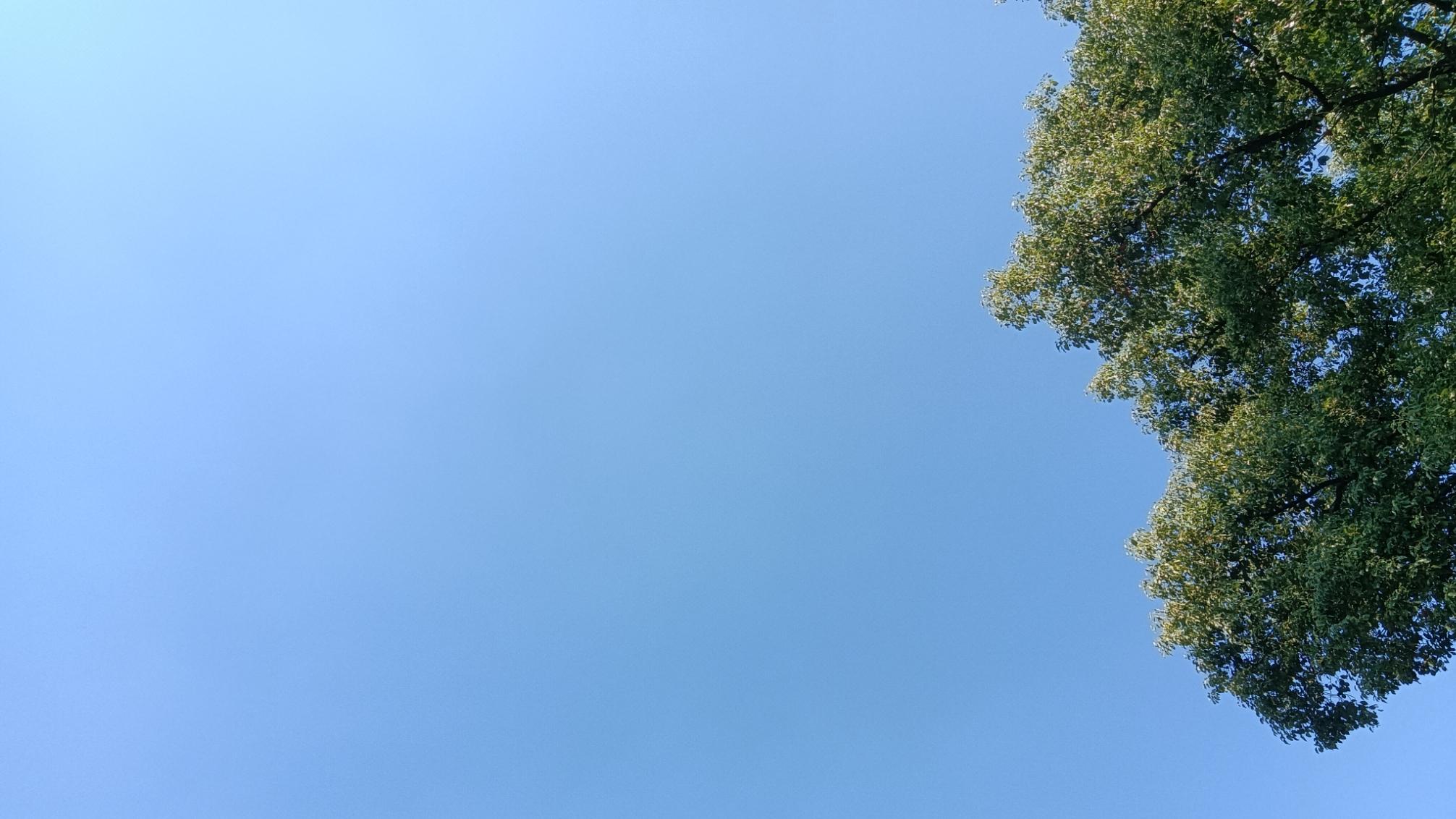 当教育主管部门都有这个想法时，教育背离初衷就会越来越远了