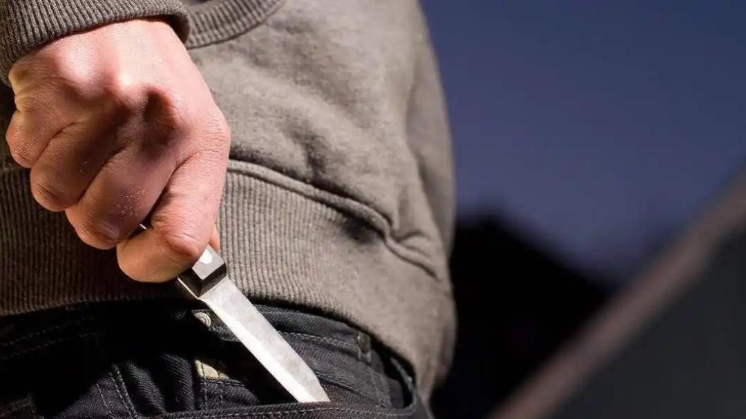 父子为何为仇人？2011年安阳县“11·23”行李箱碎尸案侦破始末