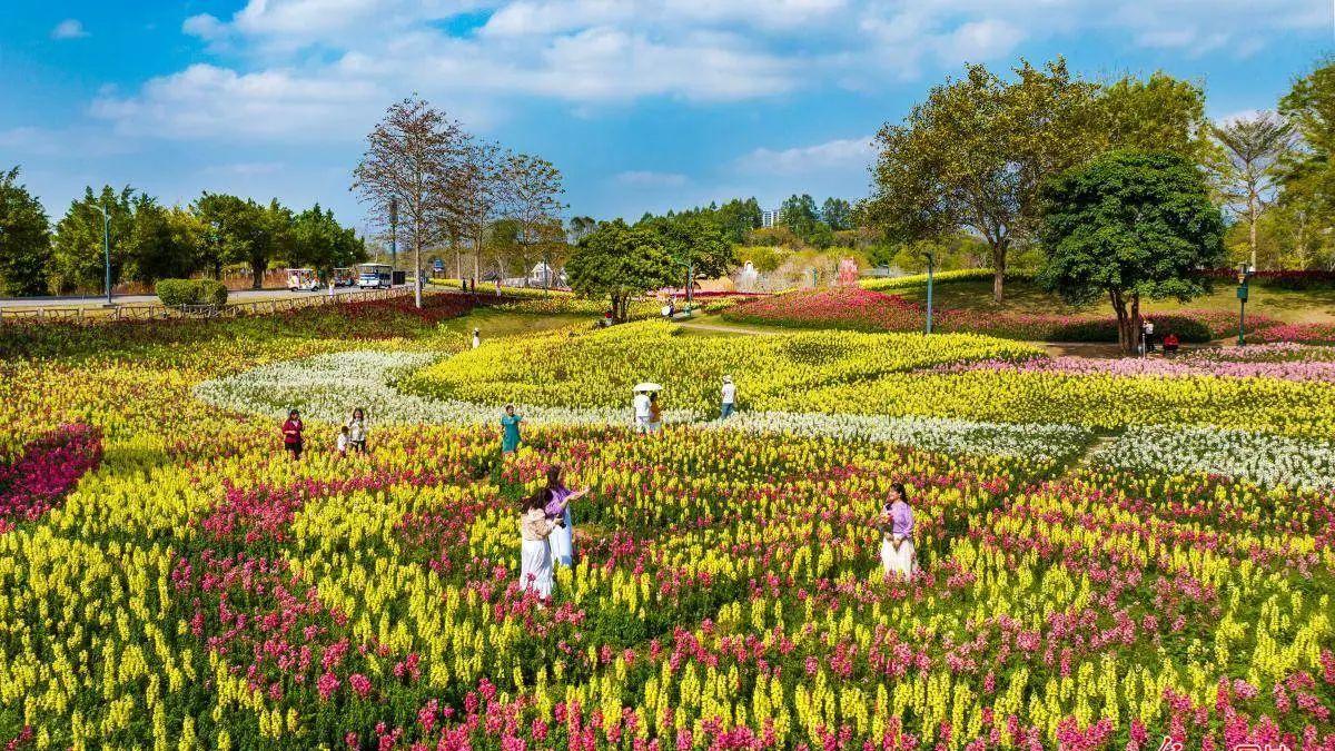 天地万物皆是三维存在；人的骨肉气血、灵魂意志，也是三维存在