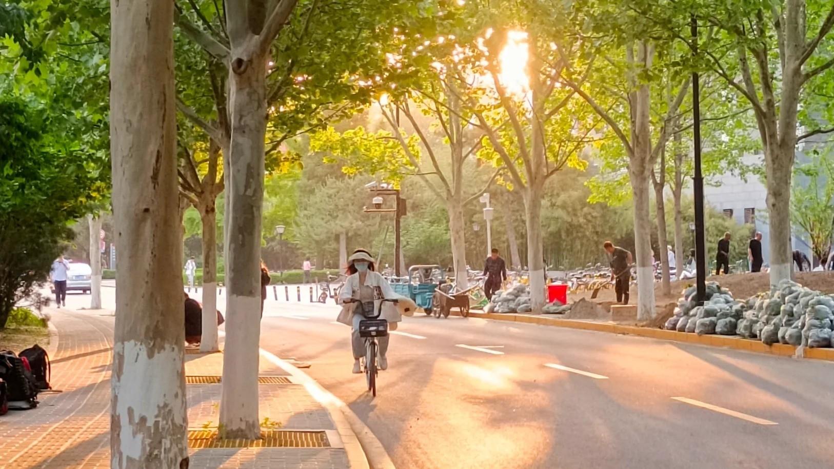 怎么判断一个工作好不好？3 大数据 + 2 套评估工具