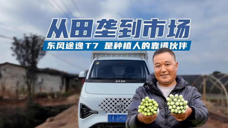 稳稳的幸福，东风途逸T7成为“最踏实”伙伴