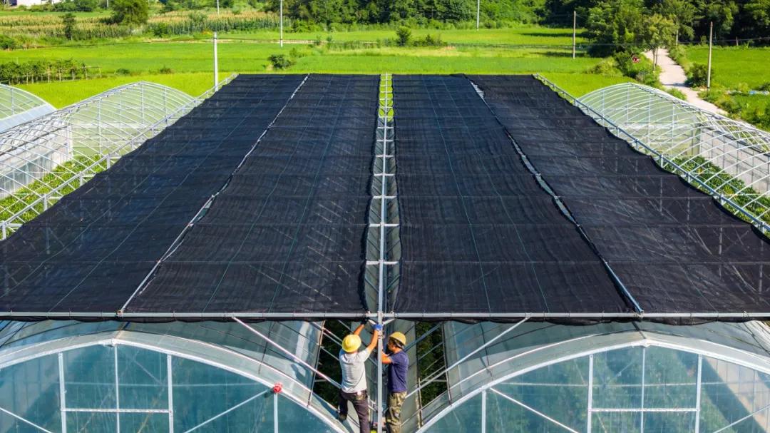 建造连栋温室大棚有必要考虑防火设计吗？防火设计是“加分项”还是“必答题”？