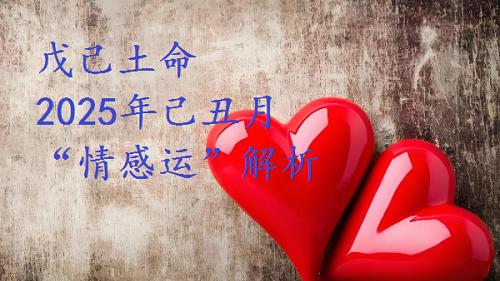 戊己土命，2025年己丑月，“情感运”解析