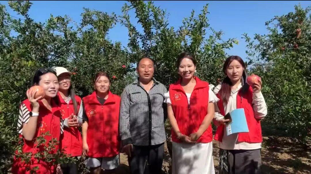 省级金奖！河北外国语学院学子凭“智榴乡野”实力摘金，智创助农新实绩