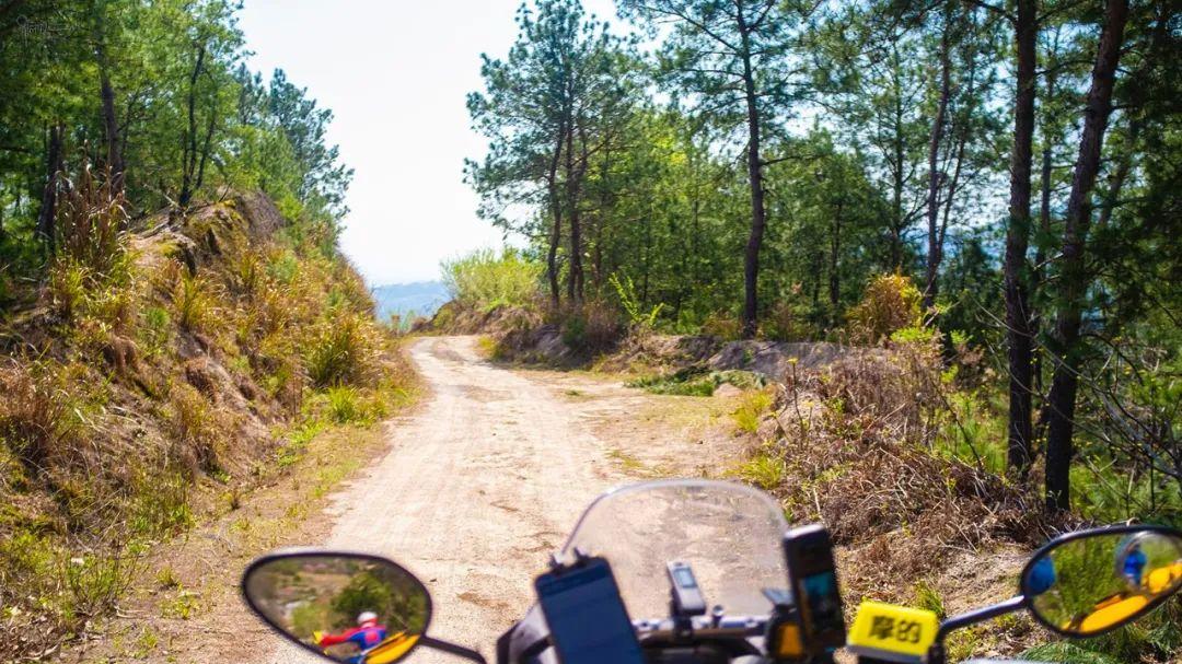 到嵊州清潭坑村看樱花，这条野路在堵车时能应应急，但仅限小小车