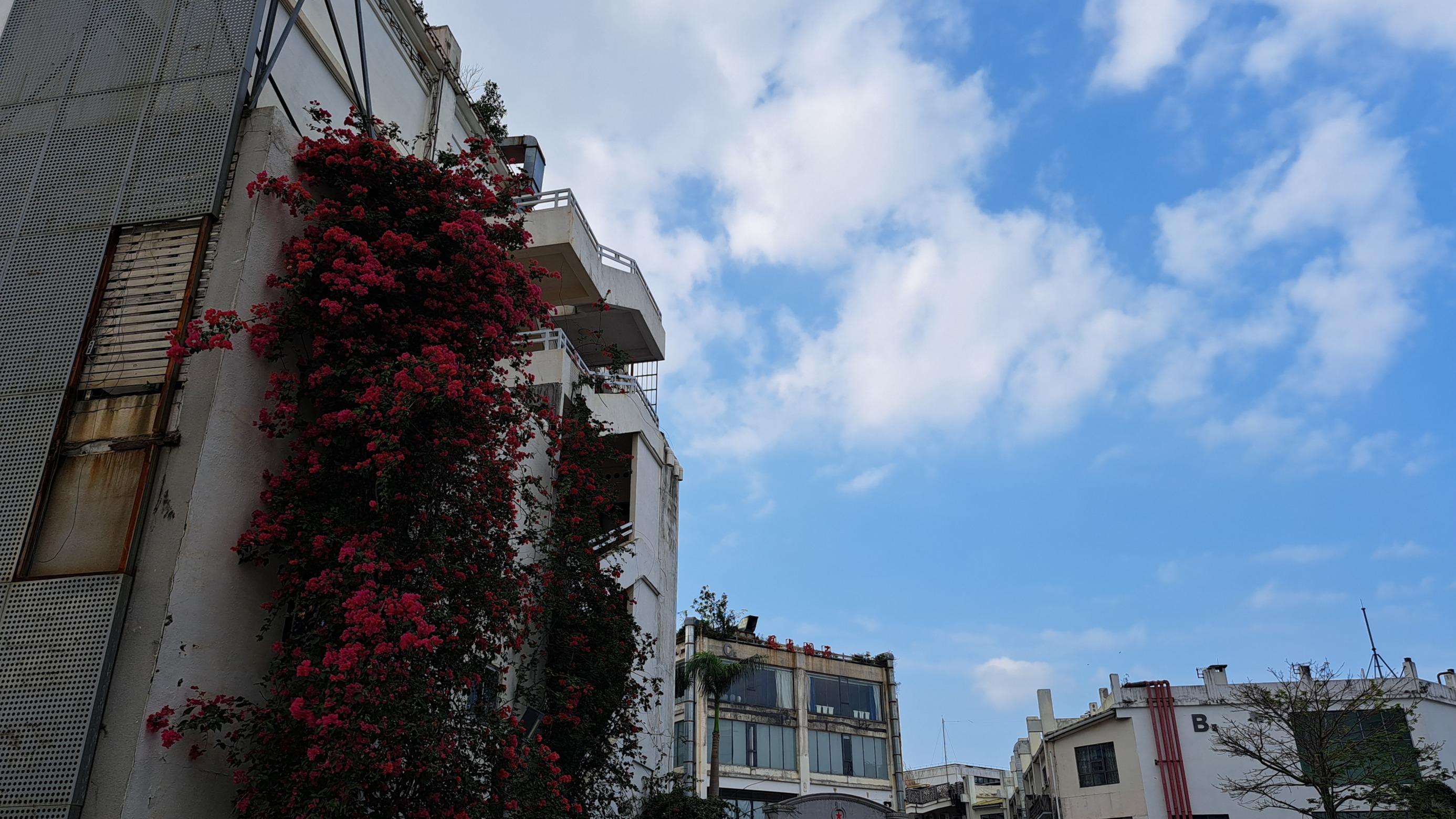 网红翻车样本：柴怼怼案告诉我们，违法+高调=必然死得快