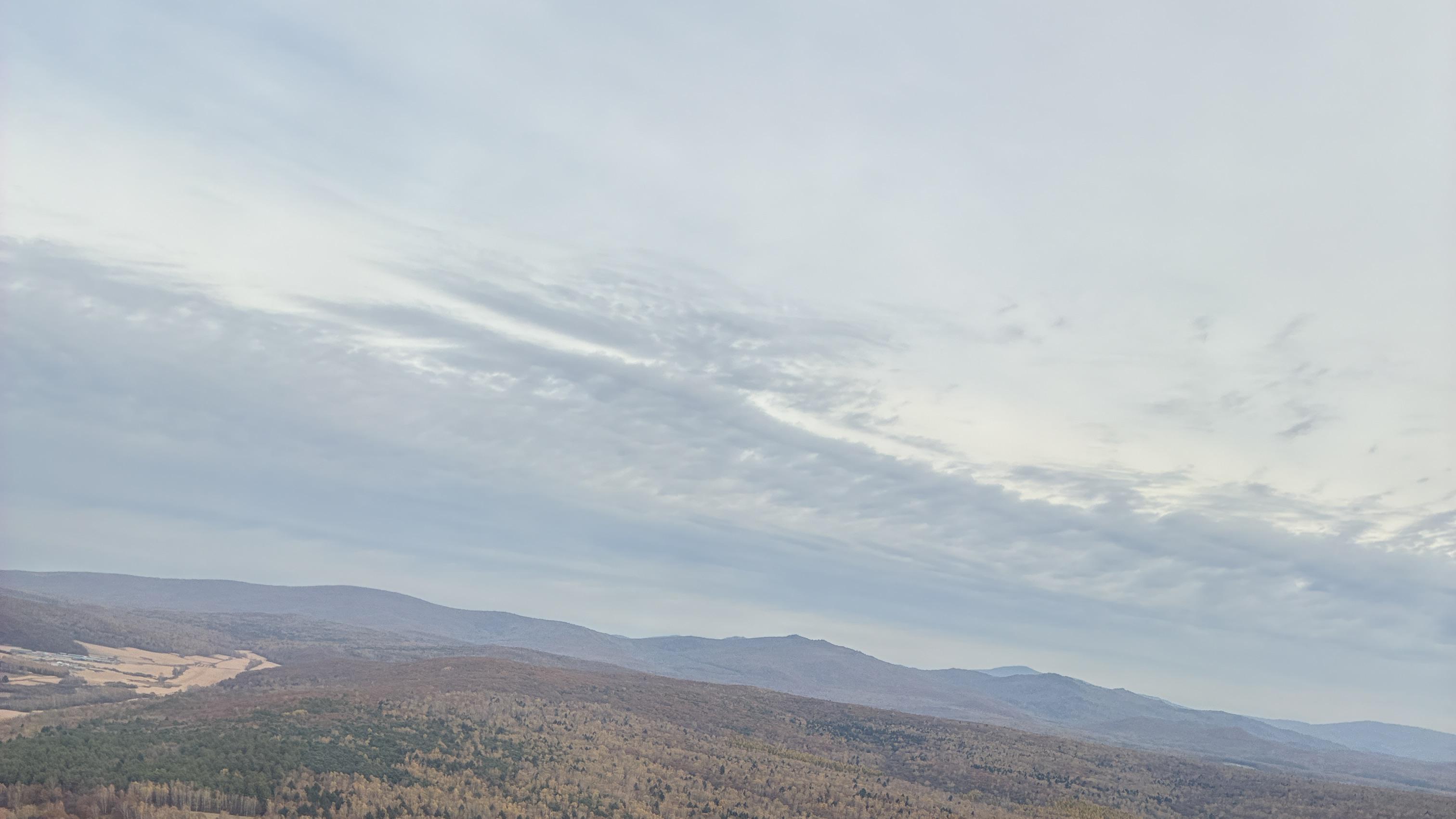 2025乙巳蛇年每日通盛及各生肖运势12月8日