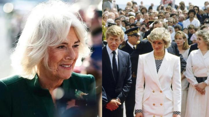 卡米拉王后地位面临历史性考验