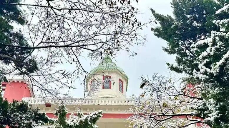 青岛下雪了！绝美雪景惊艳朋友圈