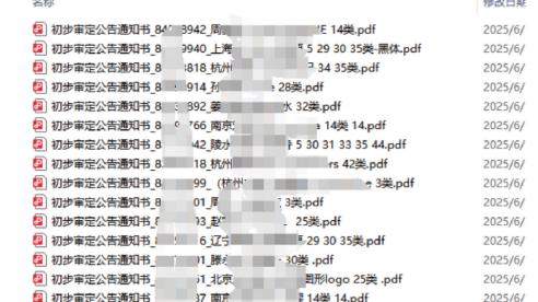 破记录，提前30天拿到商标初审公告