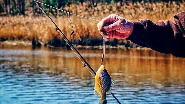 钓鱼人探索自然之谜：野钓中寻觅鱼道”的艺术