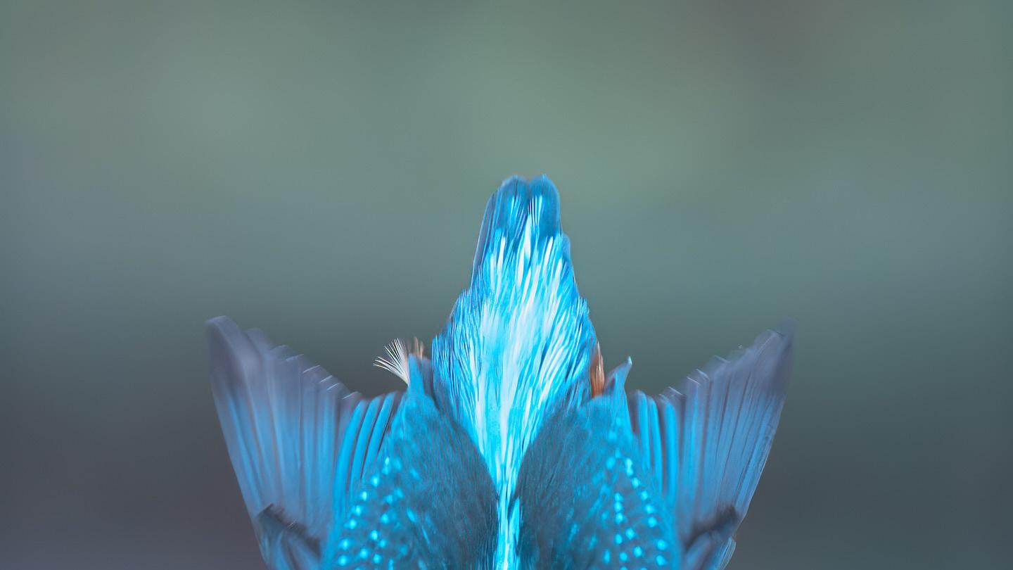 半年连升两级，你以为她是“马屁精”，老板却把她当战友