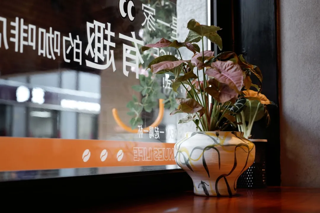 咖香伴乐韵，点亮崇明乡村文艺新地标