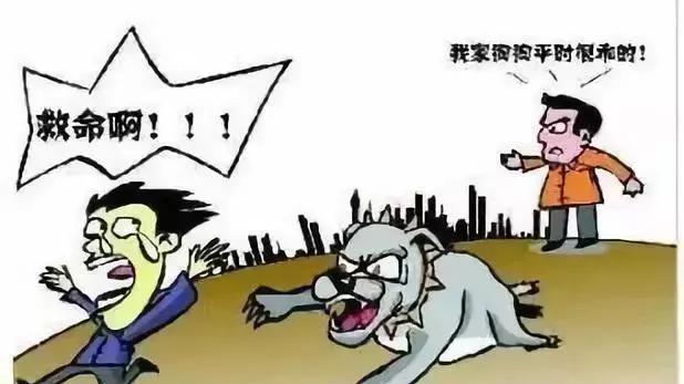 云冈区恒安新区发生离奇狗咬人事件，狗主人不幸受伤
