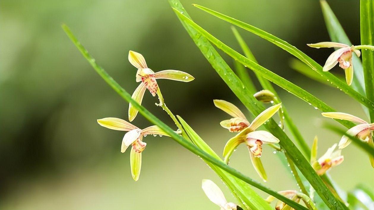 如何认识自己？认识自己的关键不在于怎么去认识，而在于怎么去做