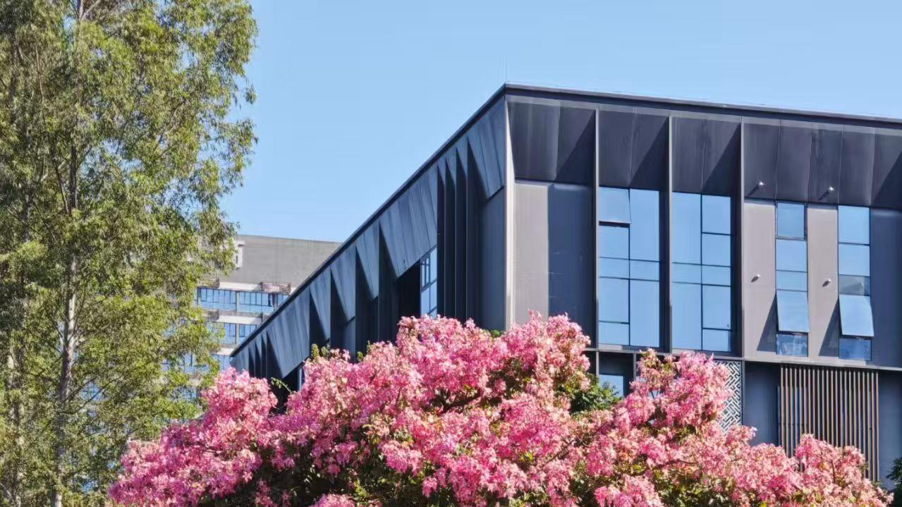 说说俗语“给脸不要脸”