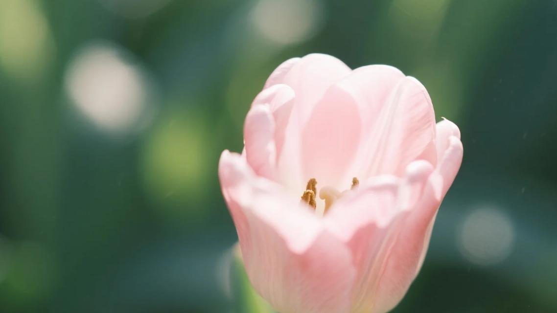那些在社会上混得好的人，都悟透这3条人性规律​