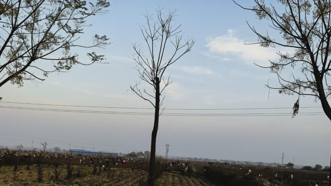 34块钱，买断了农村老人的一天