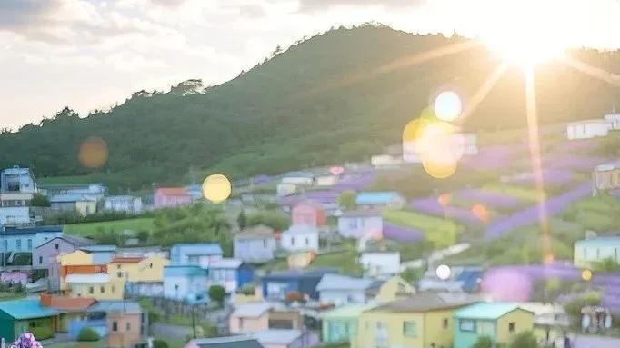 首尔浪漫之旅，韩剧同款打卡地，邂逅你的专属童话？