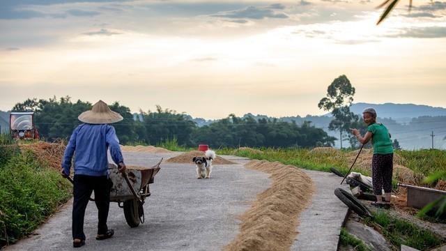 乡村女孩的遗憾，命运的转折，幸福的归宿