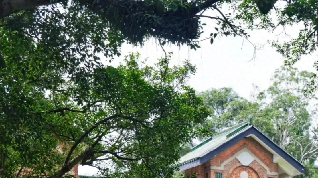 考研400分也可能被刷？复试才是决定命运的真正战场