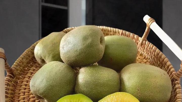 猕猴桃授粉有门道，控温防虫双保险，果型端正不畸形