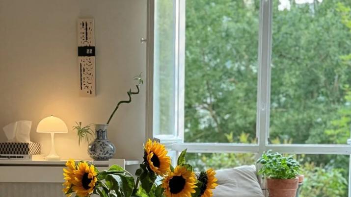 阿拉上海宁的装修宝藏