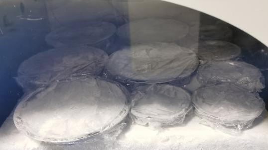 真空冷冻干燥技术在乳铁蛋白冻干中的应用