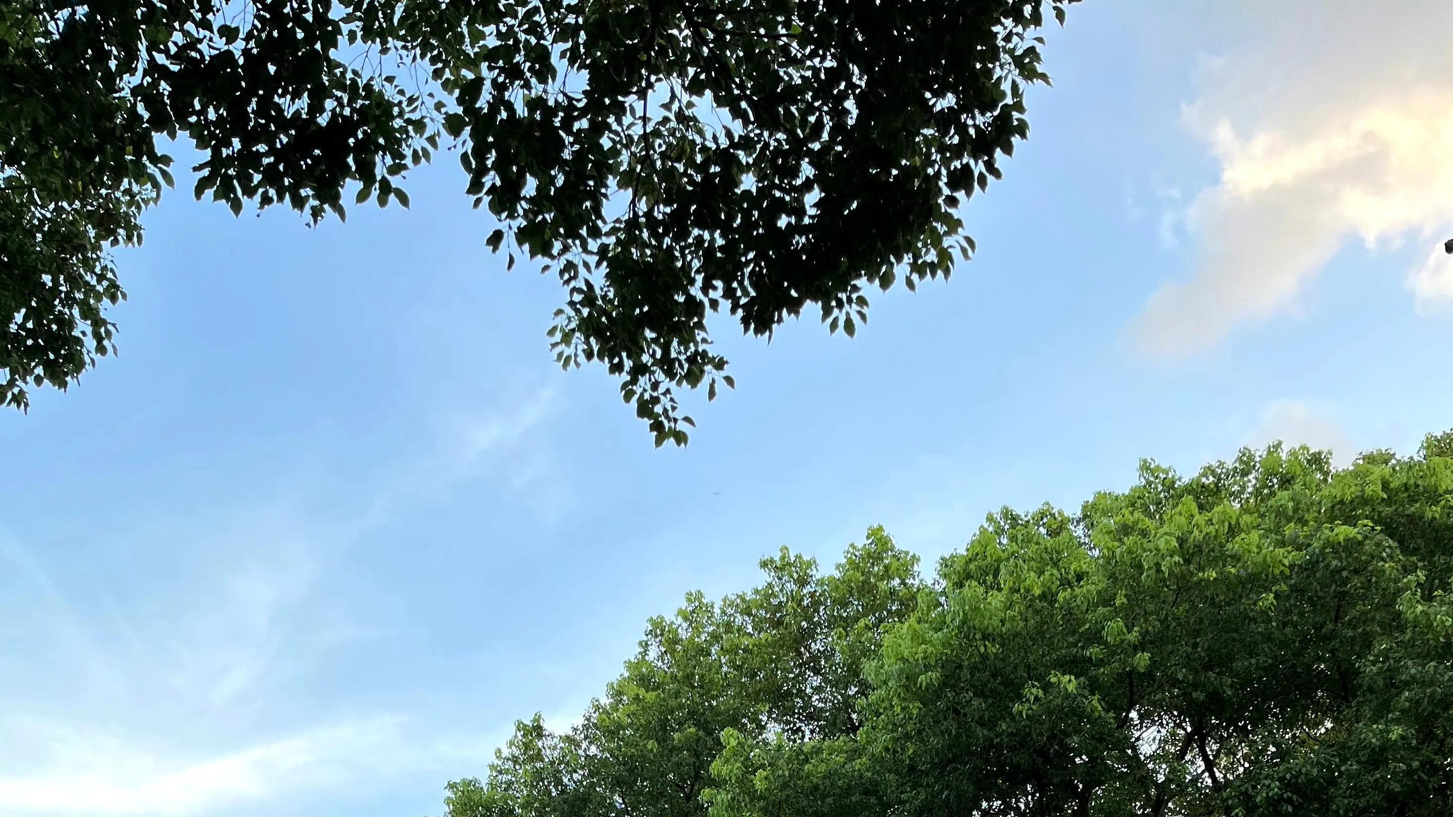 周庄，那一抹温柔的旧时光