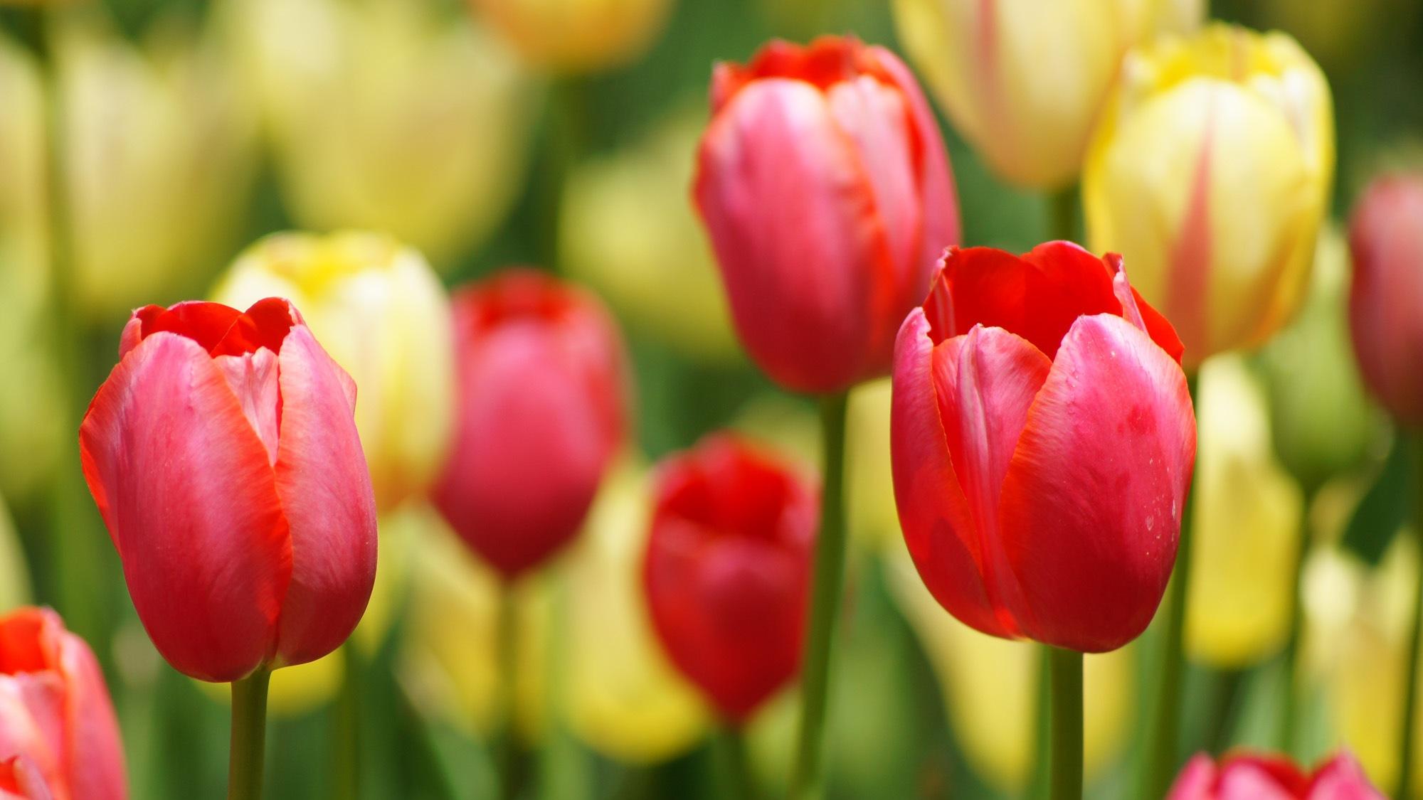 管不住别人的嘴，可以管住自己