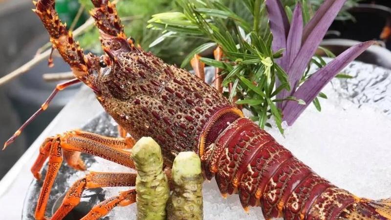 养殖龙虾，怎样根据池塘条件调整养殖模式？