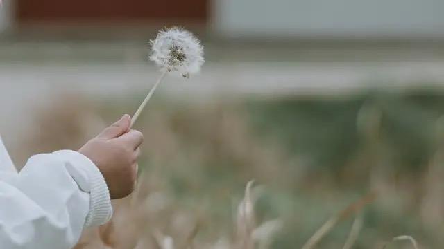 从“被安排”到“小主人”：让孩子参与规划的成长型旅行指南