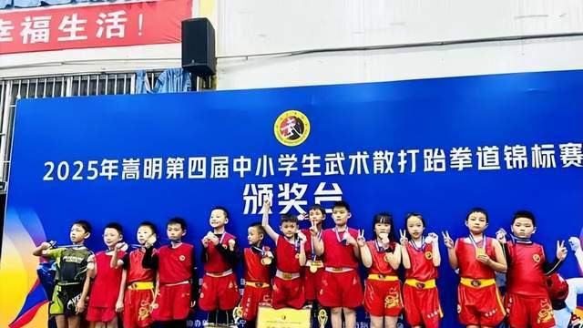 嵩明举办第四届中小学生武术、散打、跆拳道锦标赛暨昆明公开赛