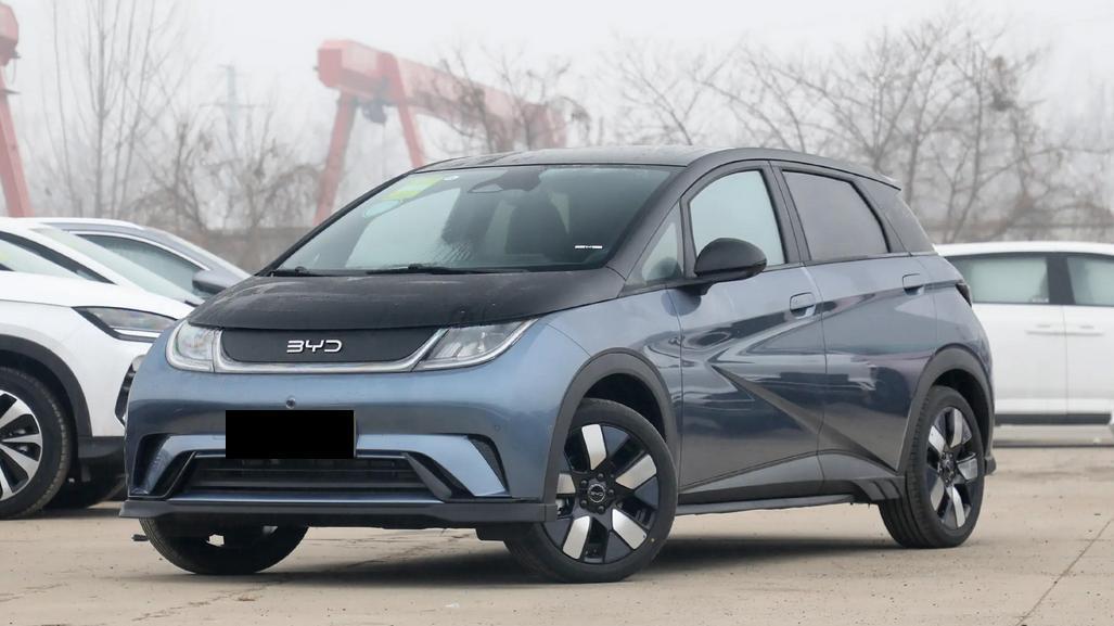 比亚迪海豚销量高，但真的适合你吗？我看未必