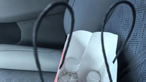 极氪售后，你改名海底捞售后吧