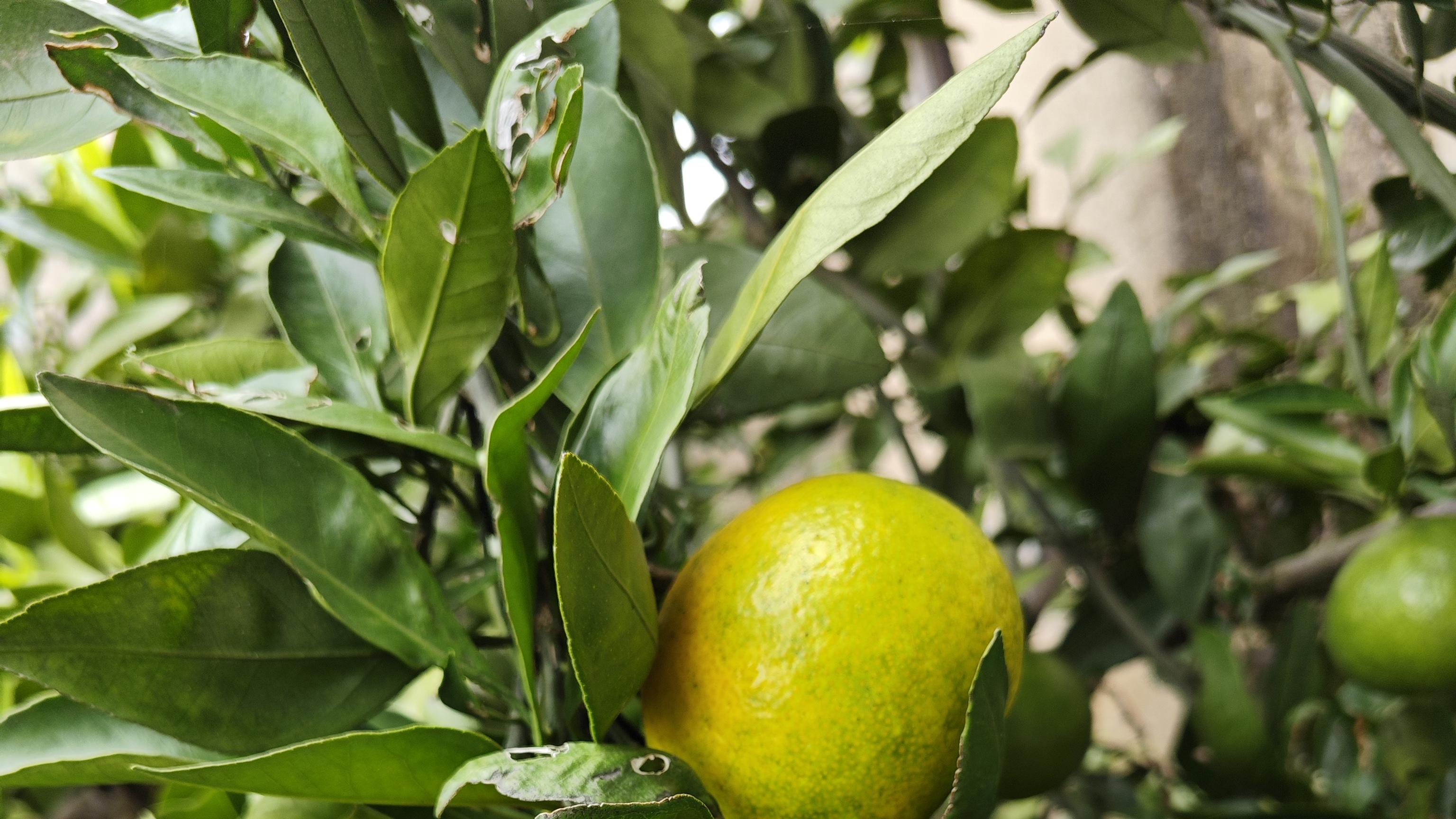 一个男人的好坏两面