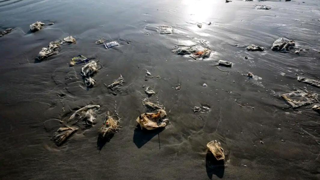 日本持续不断向海洋排放核污水，这是要祸害世界到底的节奏！