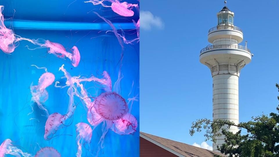 日照看海旅行，三天两夜不绕路行程