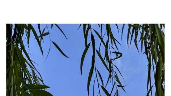 华为Mate 70 Air正式亮相：7英寸巨幕+6500mAh大电池，轻薄不妥协