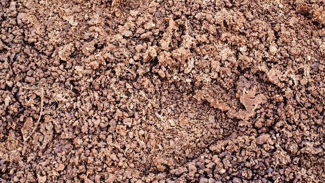 鸡粪变废为宝：2个要点和3个禁忌助您提高肥料效率和作物产量