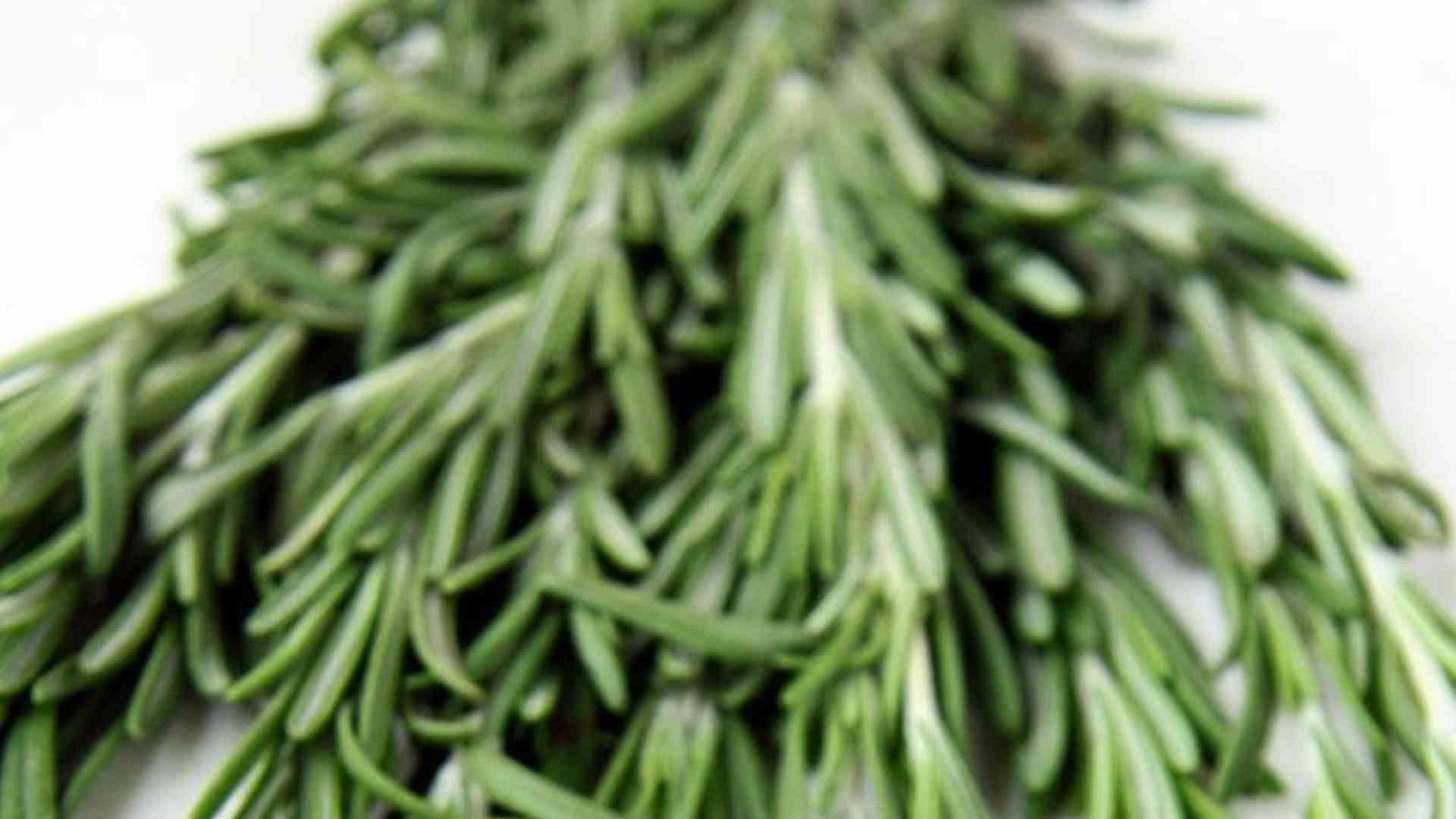 迷迭香干燥工艺技术要点，食品加工标准与存储要求，密封严实确保三个月保质期