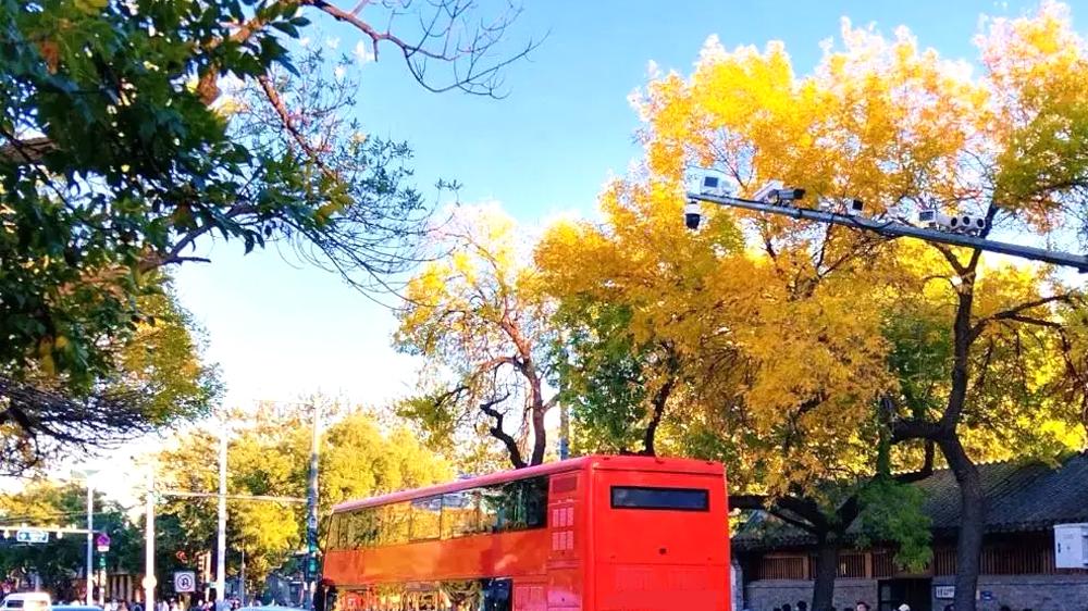 北京秋日citywalk宝藏路线，这4个地方藏着最浓的北平味