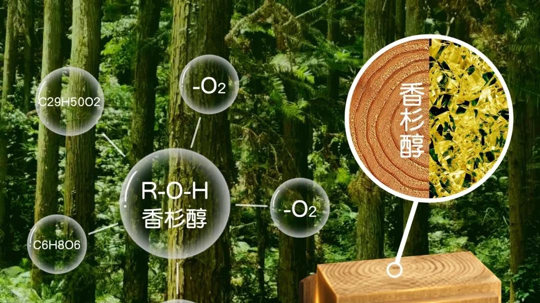 香杉木：南方人家居里的自然瑰宝