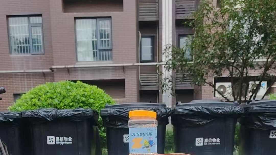 垃圾桶旁的小鹦鹉，爸妈扔了它，谁来接住这声“对不起”？