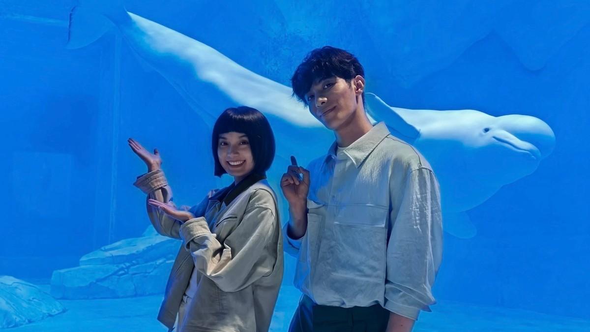 性能颜值双在线！华为Mate X7今天开启预订，新品重点提前看