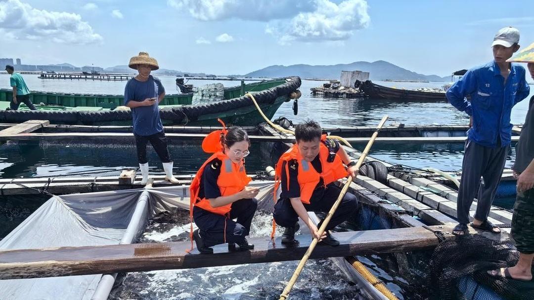 石斑鱼鱼苗咋培育？培育经验共分享，培育壮苗好开端​