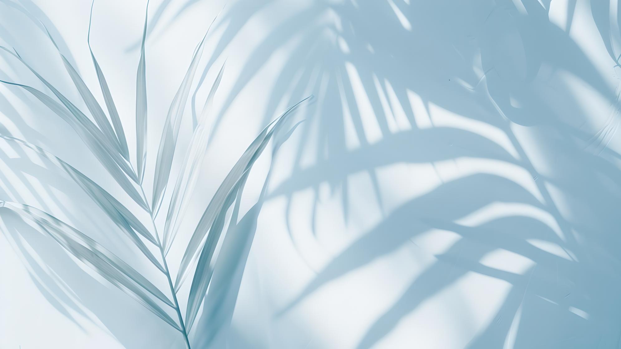 微信编辑器，哪个好用又免费？