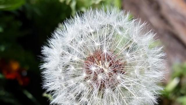 生活的巧克力：下一个惊喜会是什么？