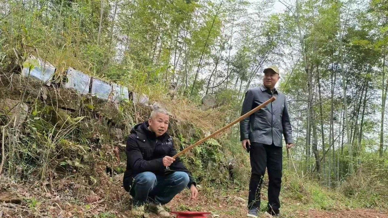 三僚曾真君：应邀在湖南娄底阴宅放线定分金